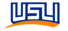 USLI
